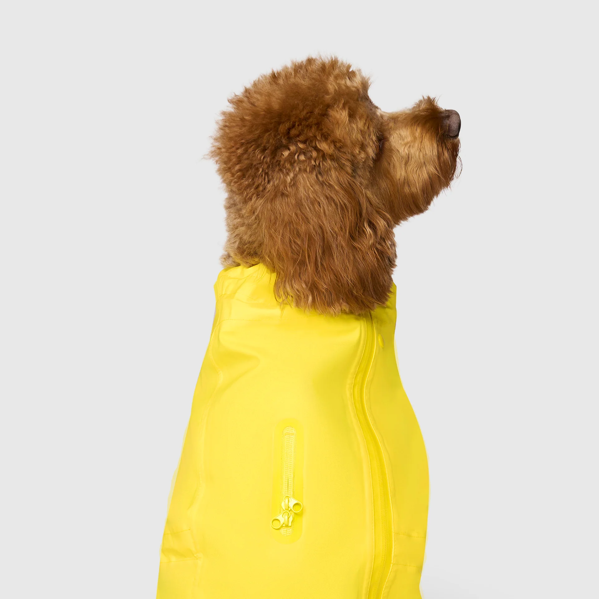 Waterproof Raincoat - Image 6