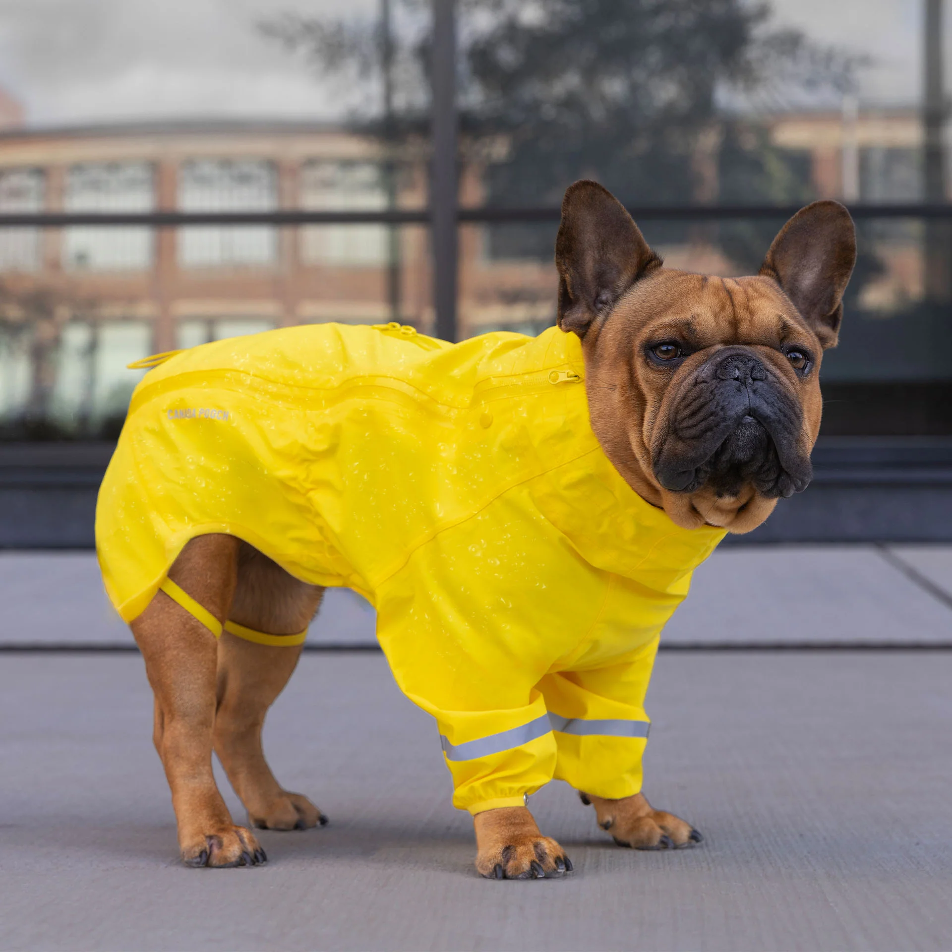 Waterproof Raincoat - Image 8