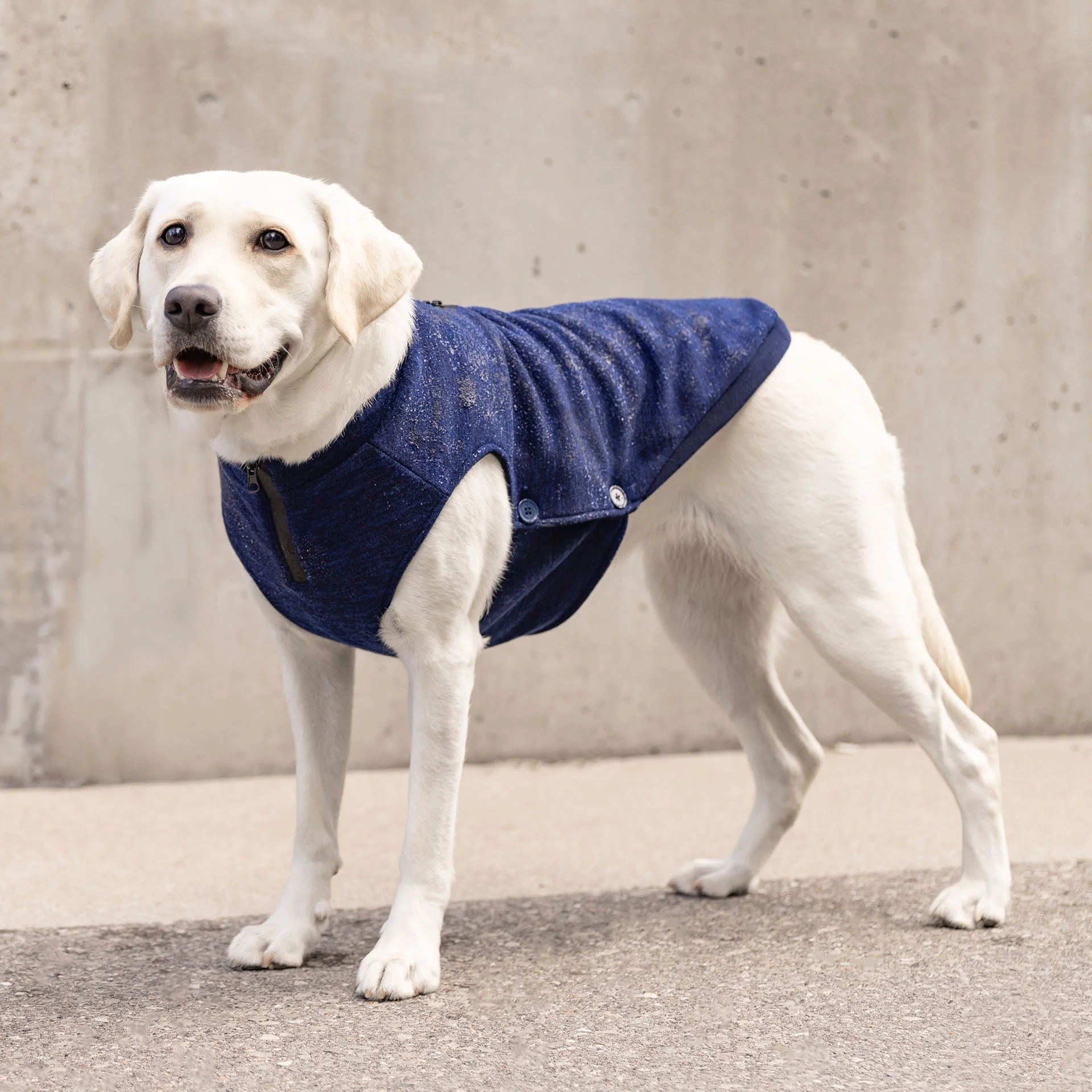 Waterproof Sweater - Image 14