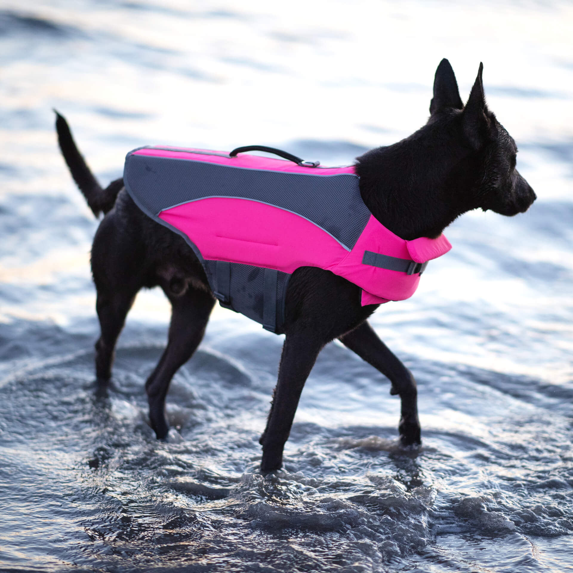Wave Rider Life Jacket - Image 12