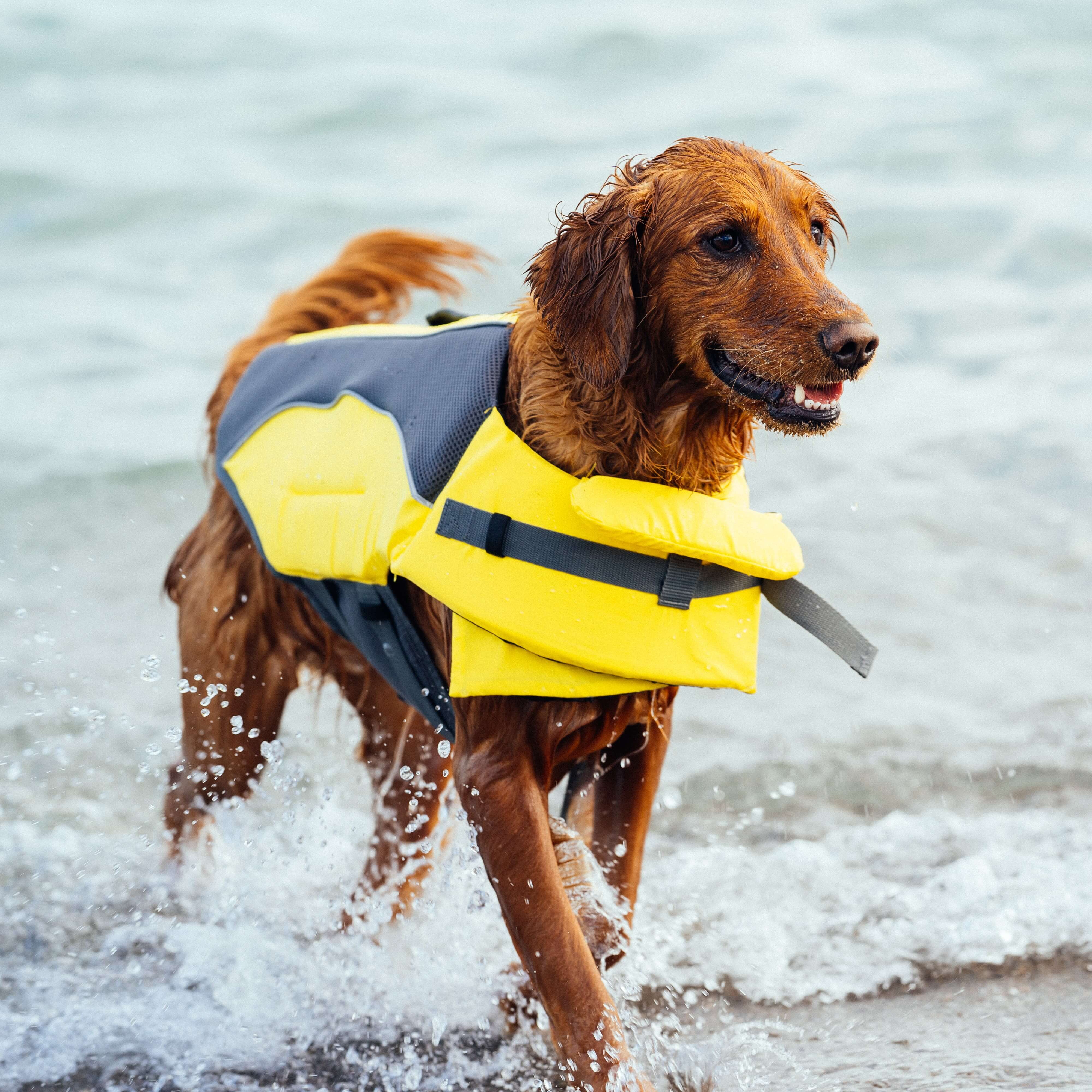 Wave Rider Life Jacket - Image 5