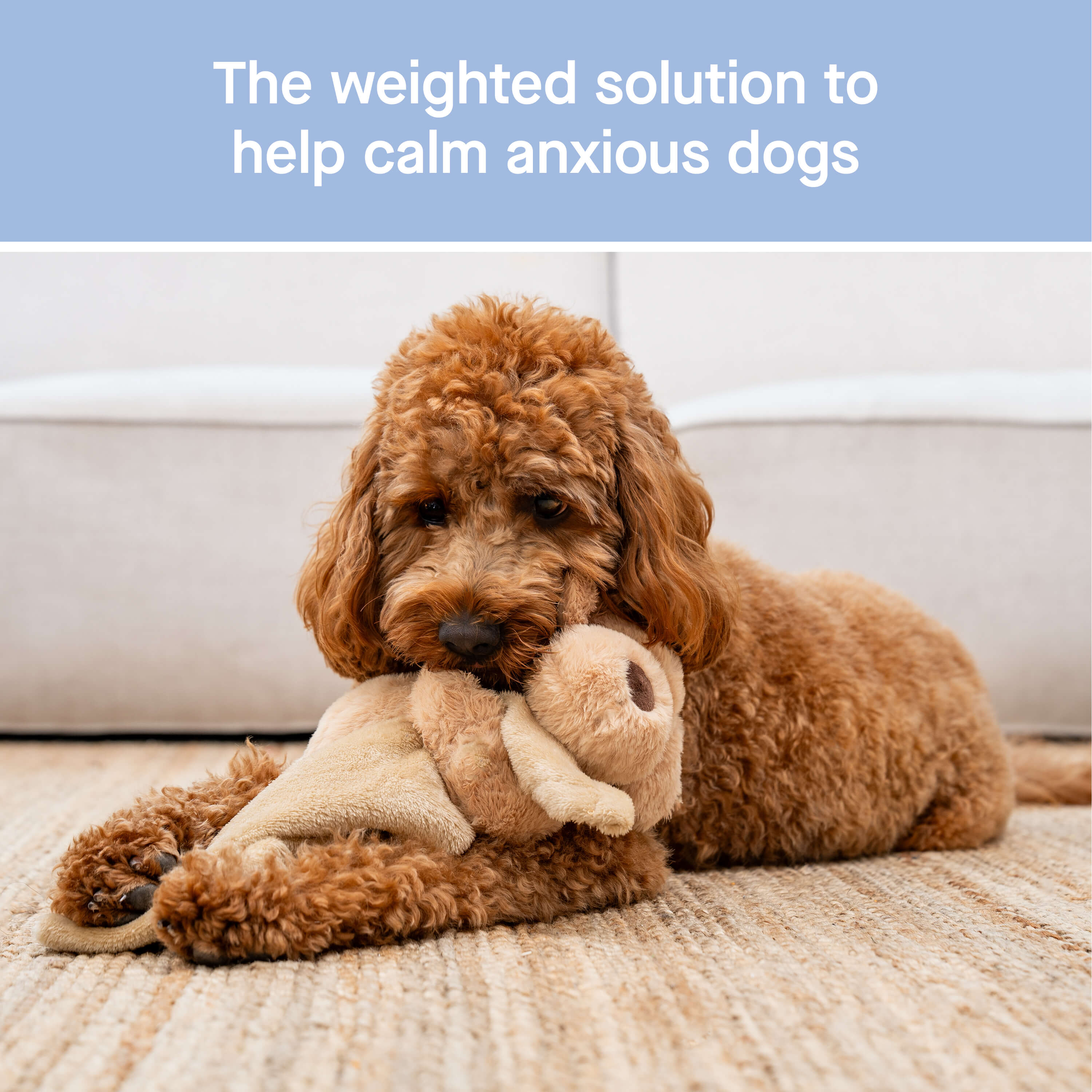Weighted Calming Toy - Image 13