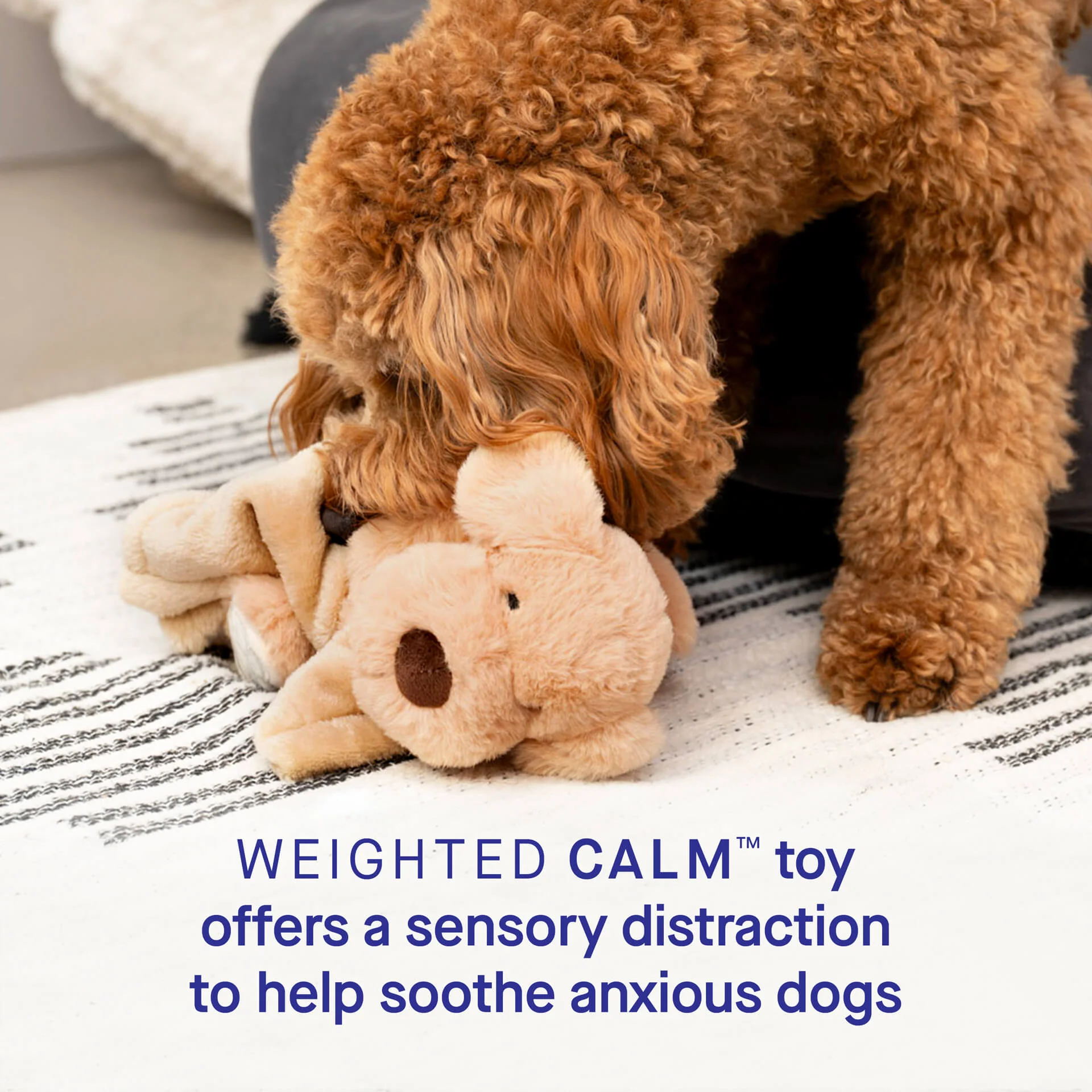 Weighted Calming Toy - Image 15