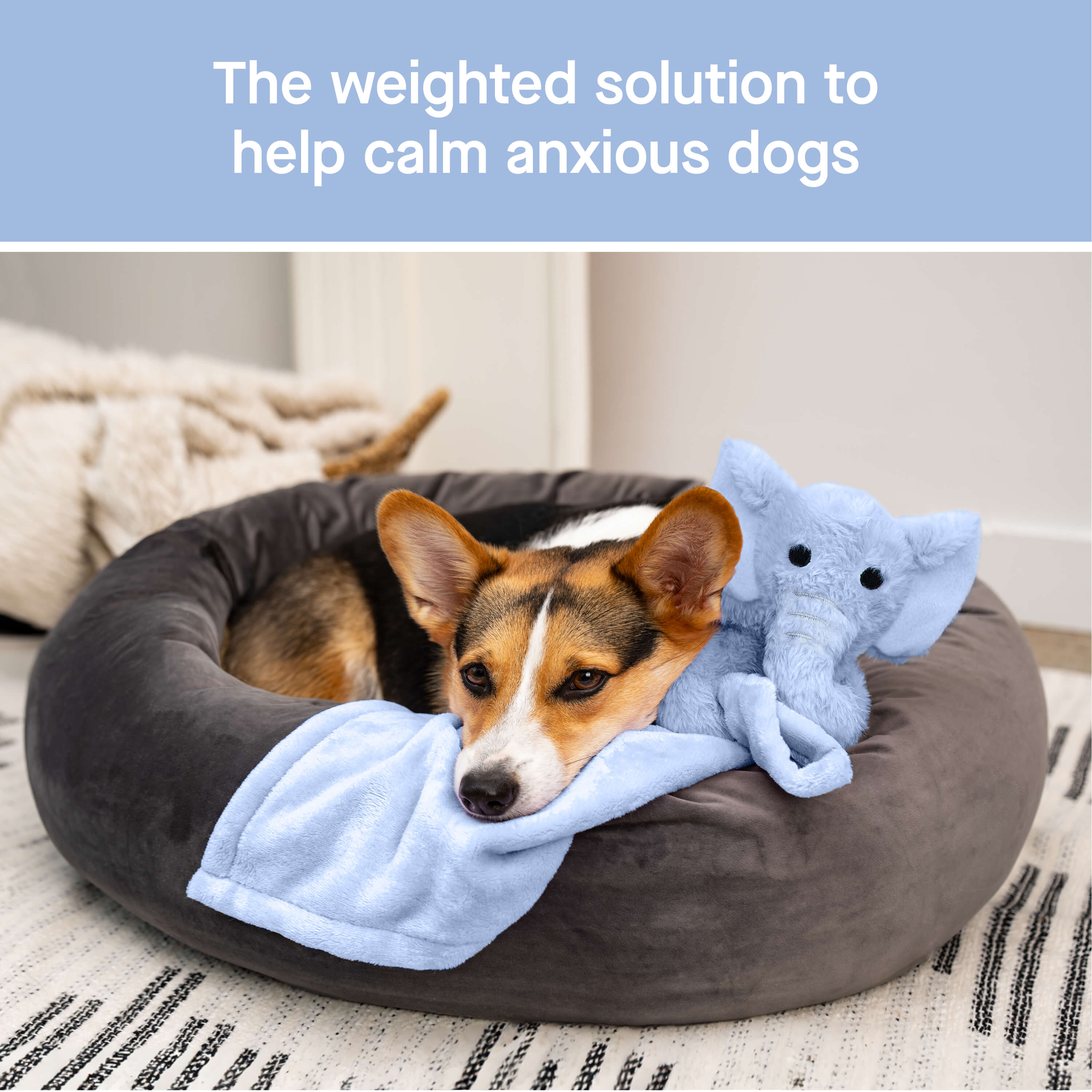 Weighted Calming Toy - Image 24