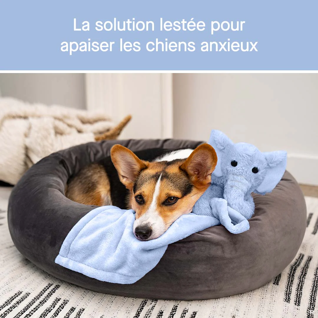 Weighted Calming Toy - Image 25