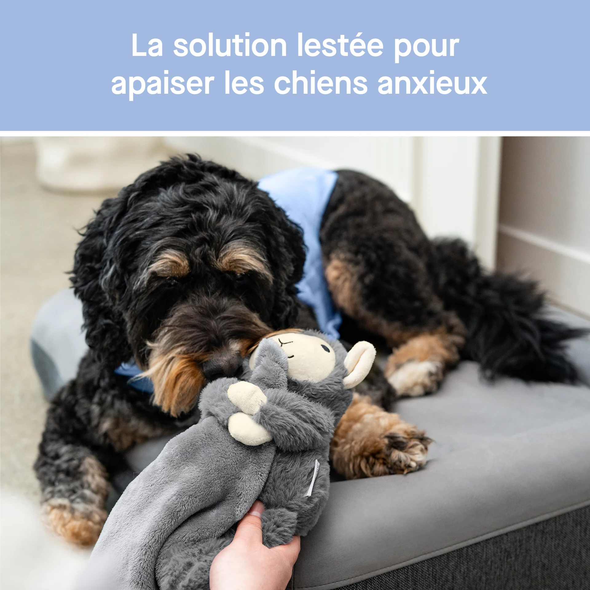 Weighted Calming Toy - Image 3