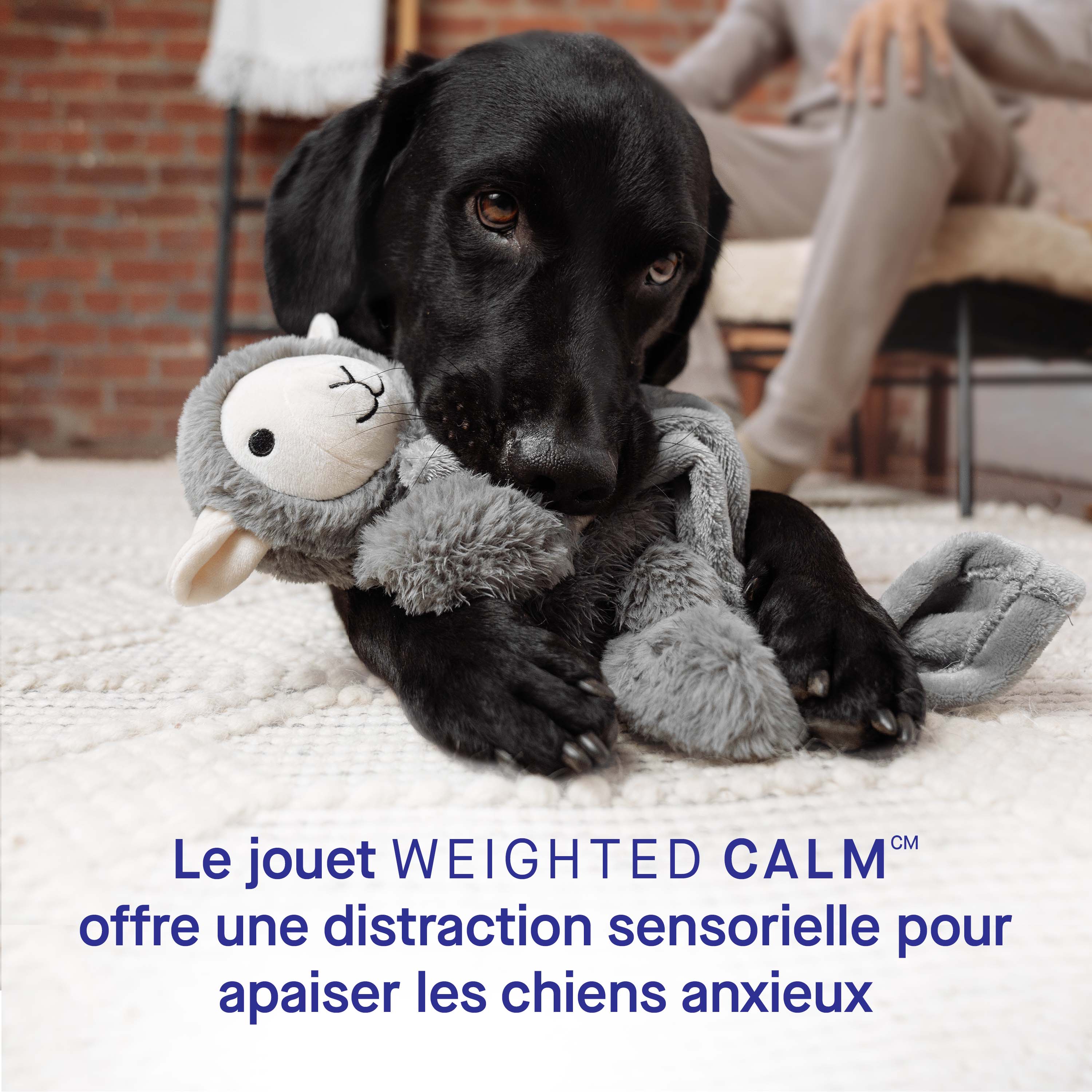 Weighted Calming Toy - Image 5