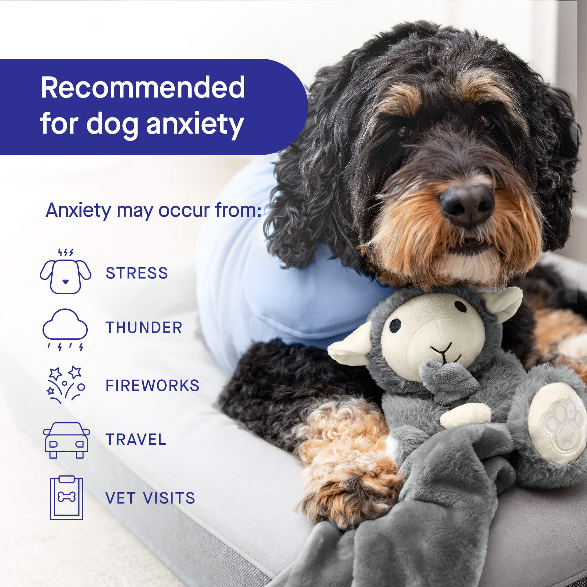 Weighted Calming Toy - Image 8