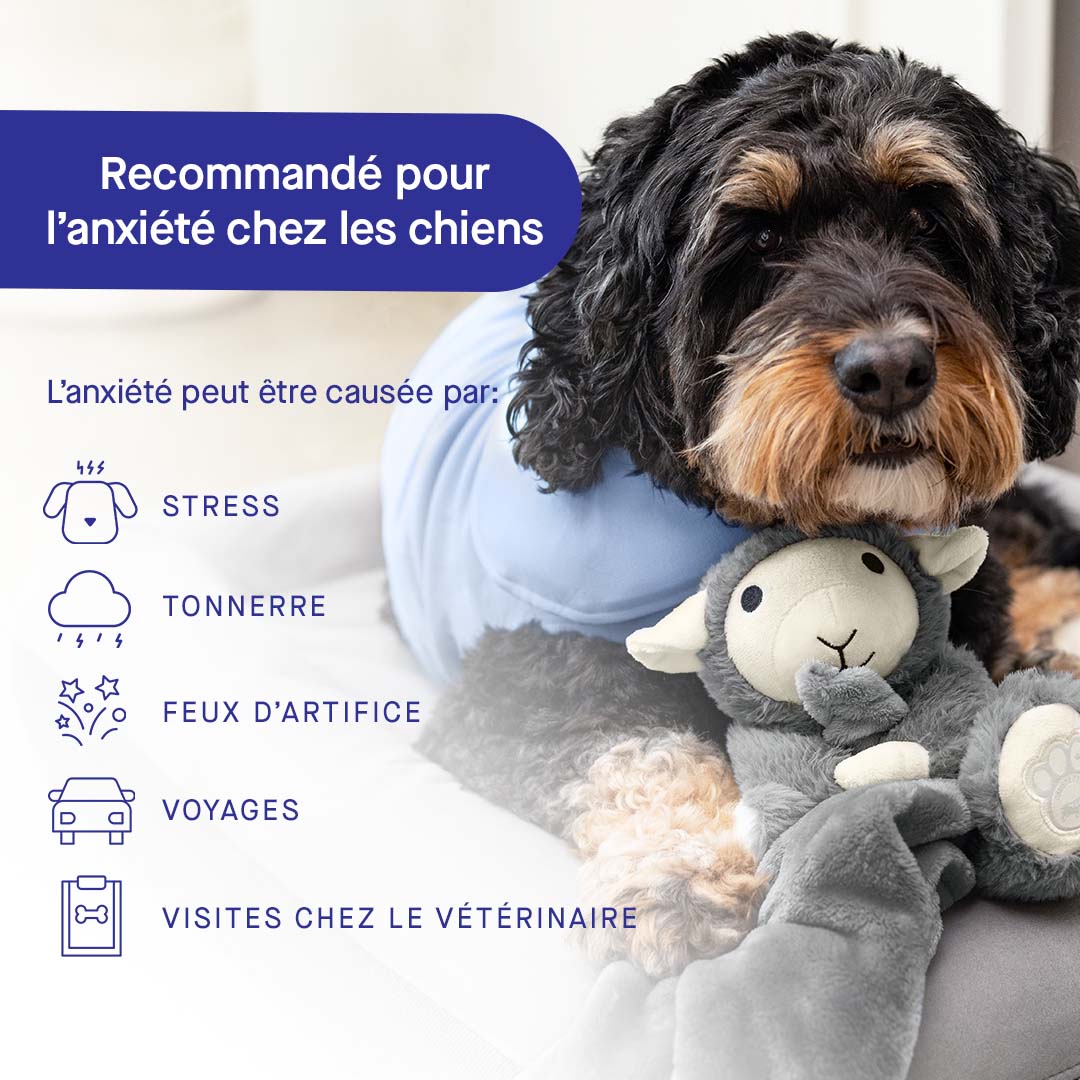 Weighted Calming Toy - Image 9