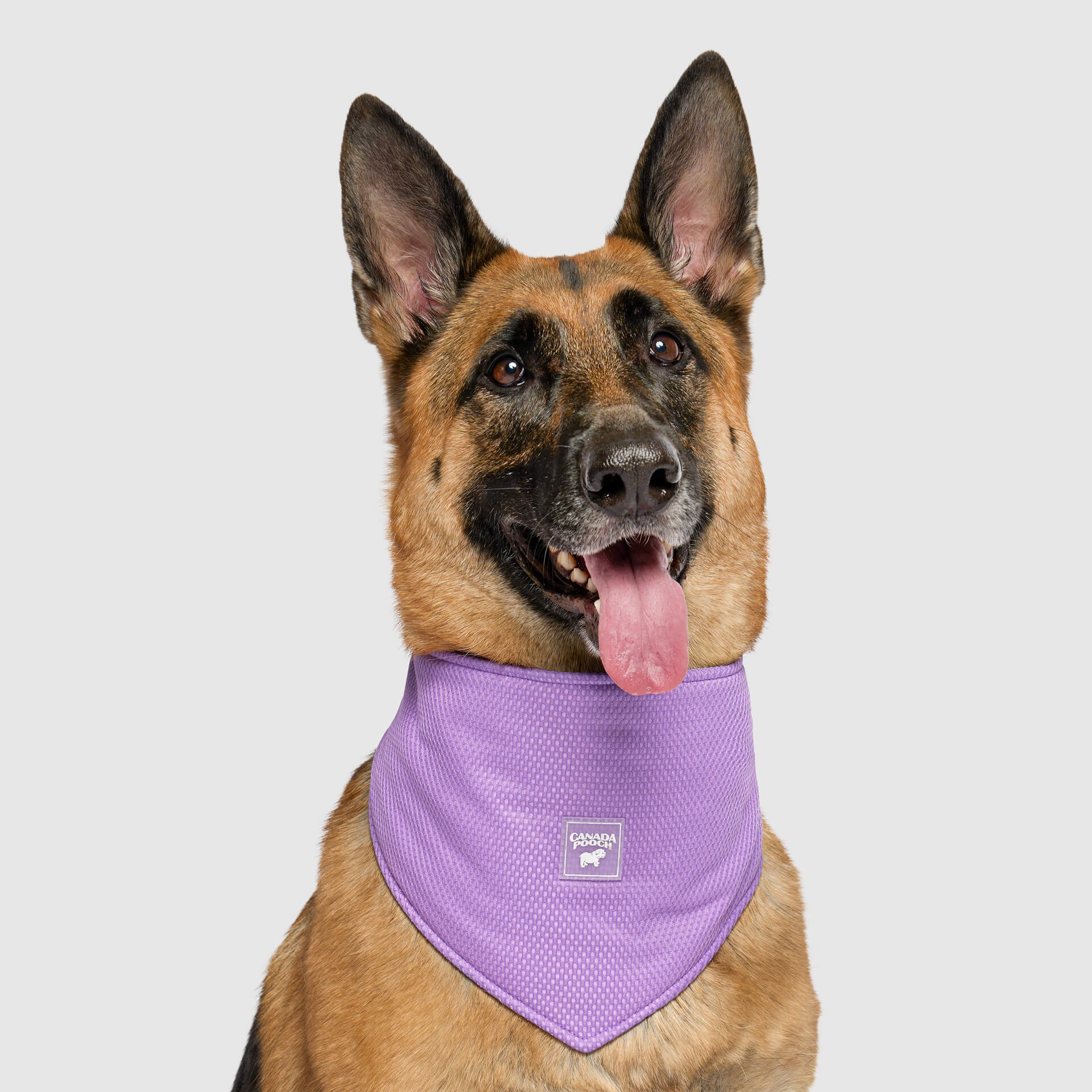 Cooling Bandana Wet Reveal - Image 5