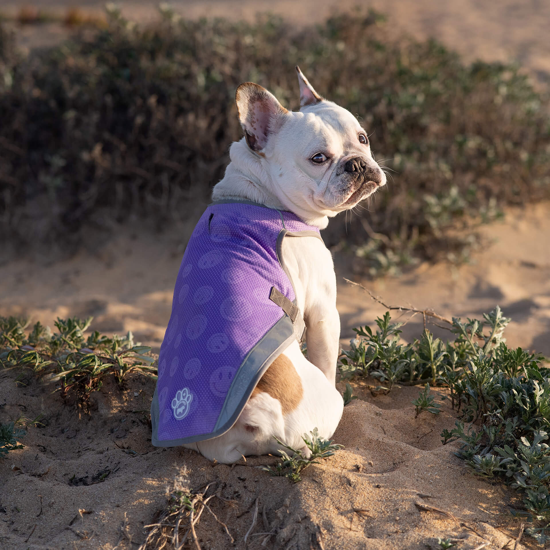 Chill Seeker Cooling Vest Wet Reveal - Image 10
