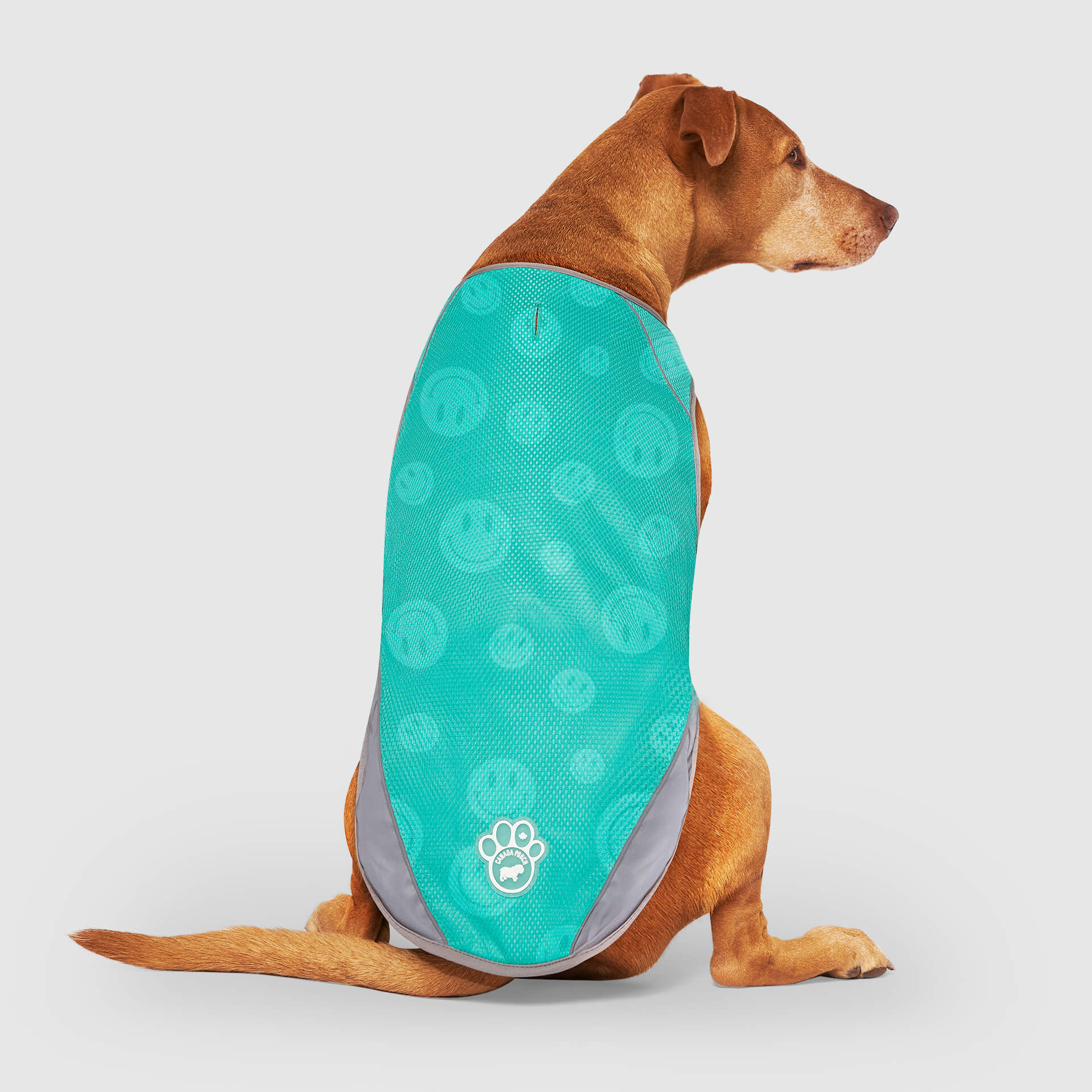 Chill Seeker Cooling Vest Wet Reveal - Image 3