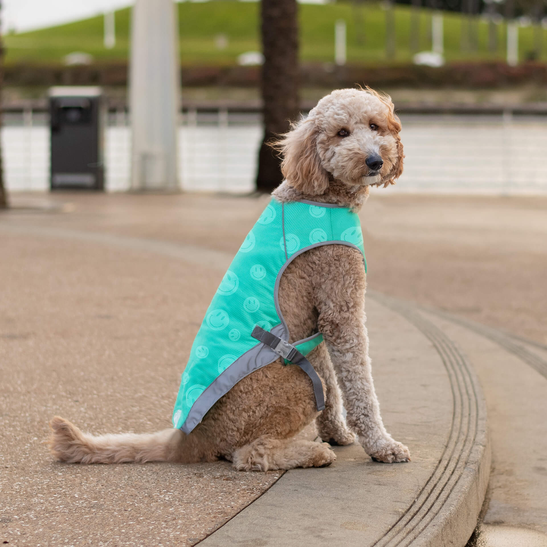 Chill Seeker Cooling Vest Wet Reveal - Image 5