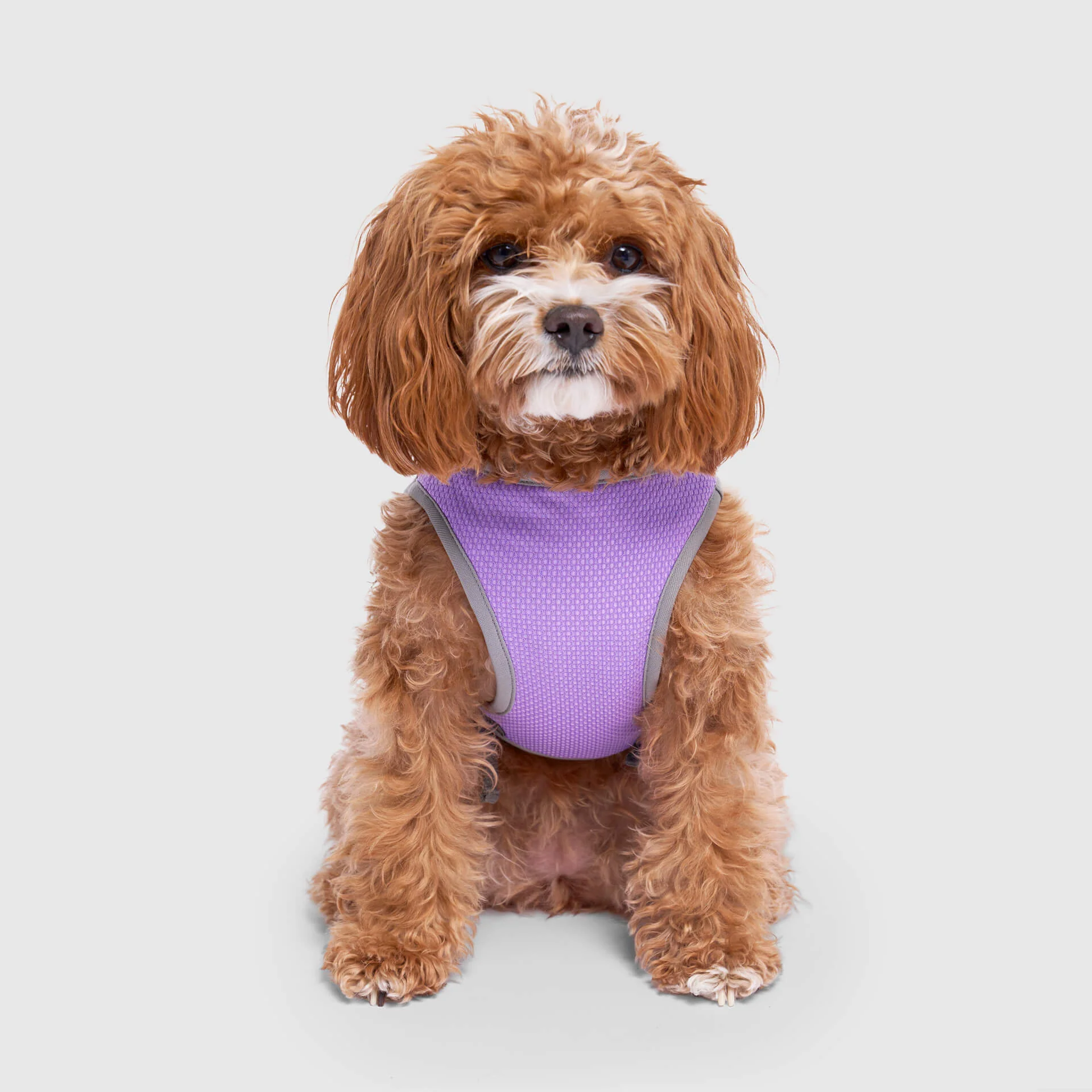 Chill Seeker Cooling Vest Wet Reveal - Image 7