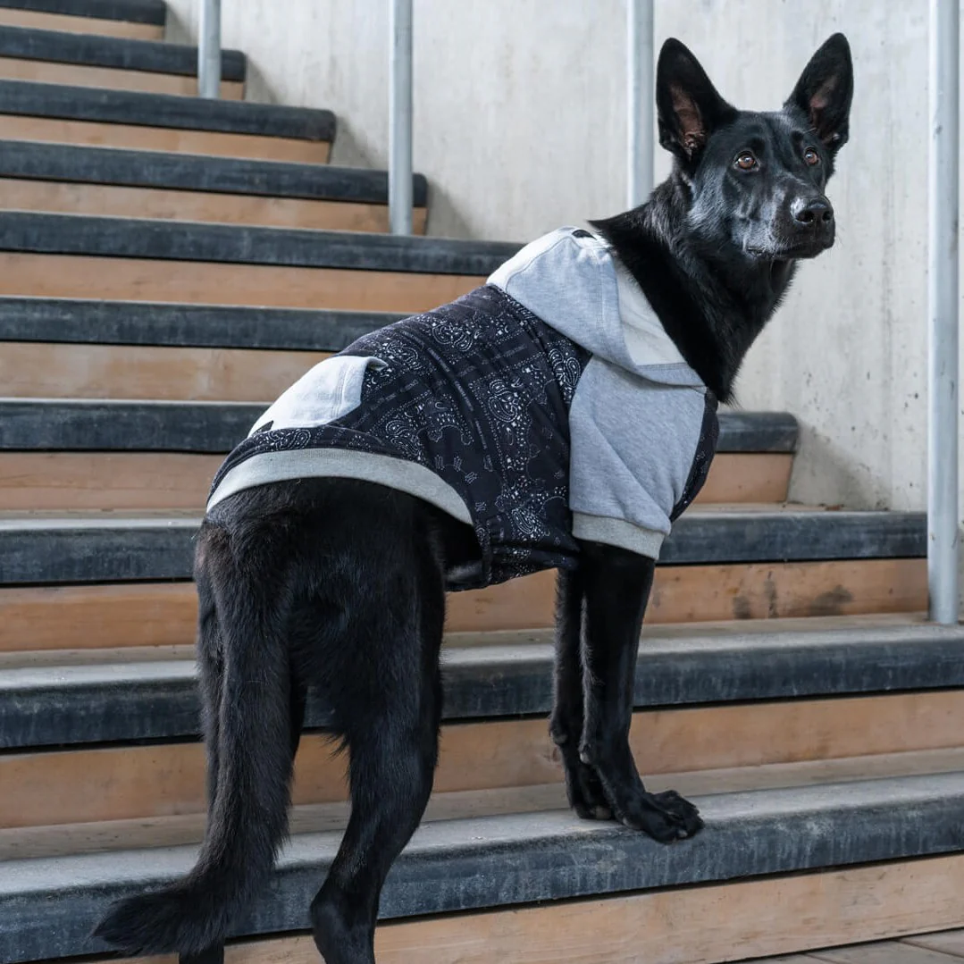 Whatever The Weather Hoodie - Image 10