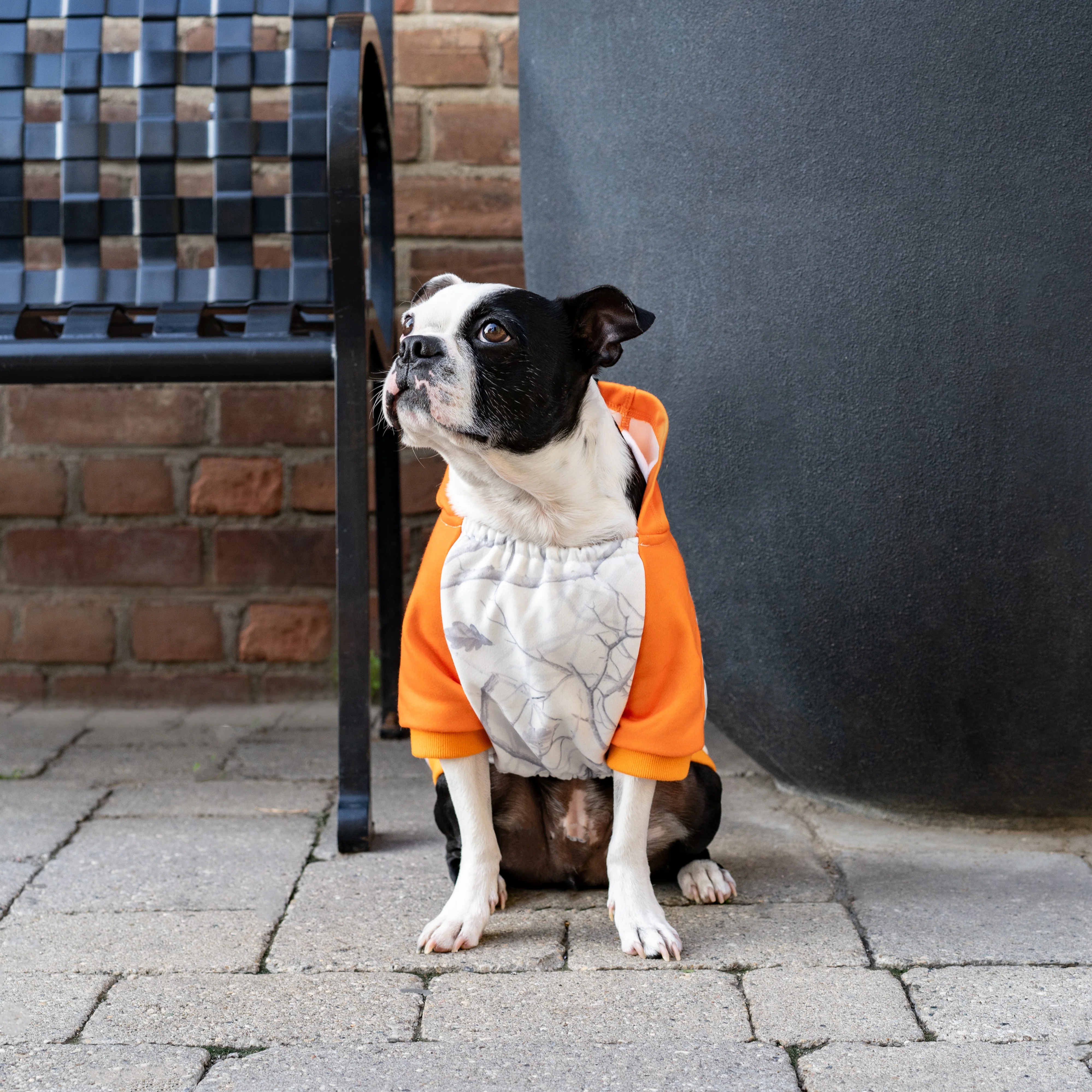 Whatever The Weather Hoodie - Image 15
