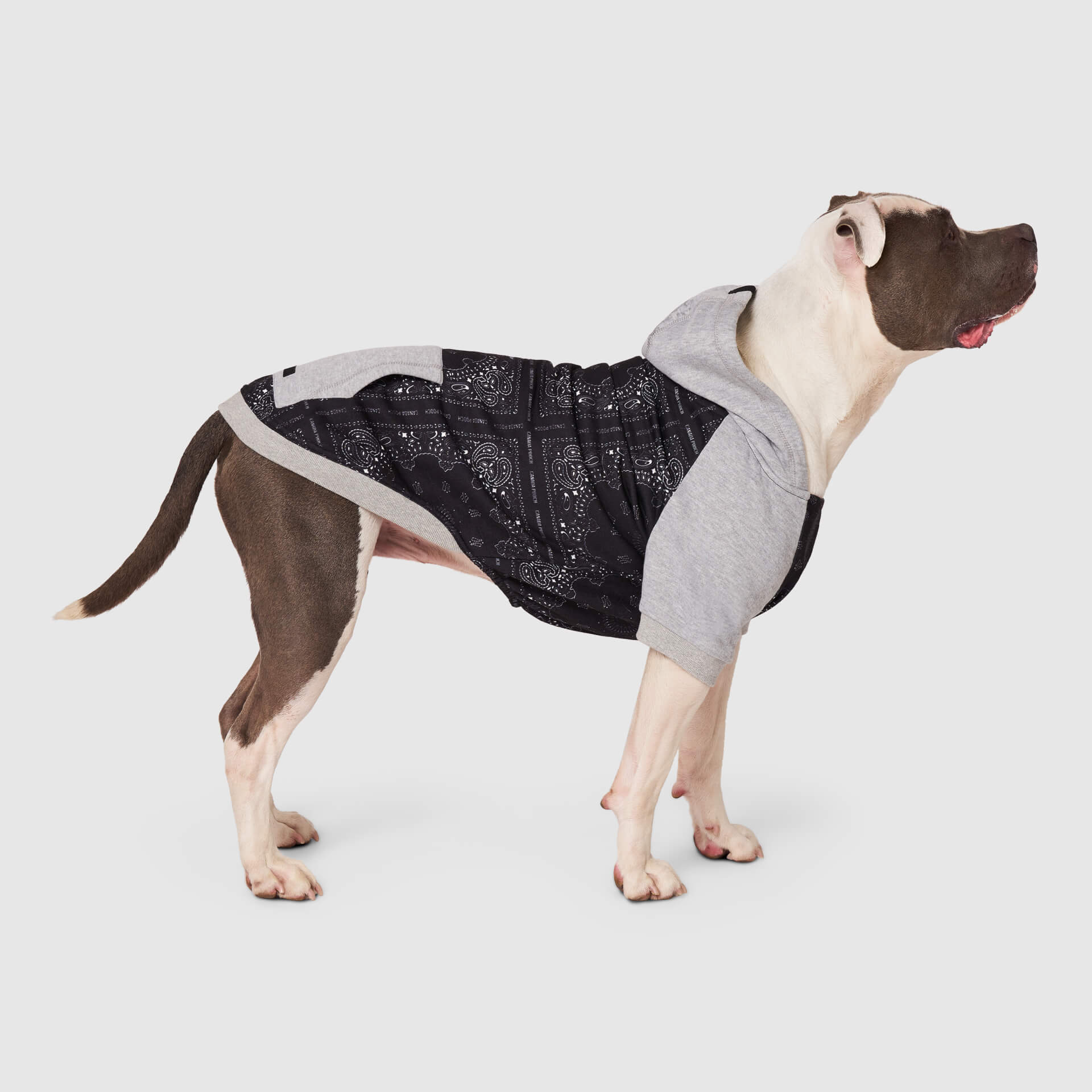 Whatever The Weather Hoodie - Image 6