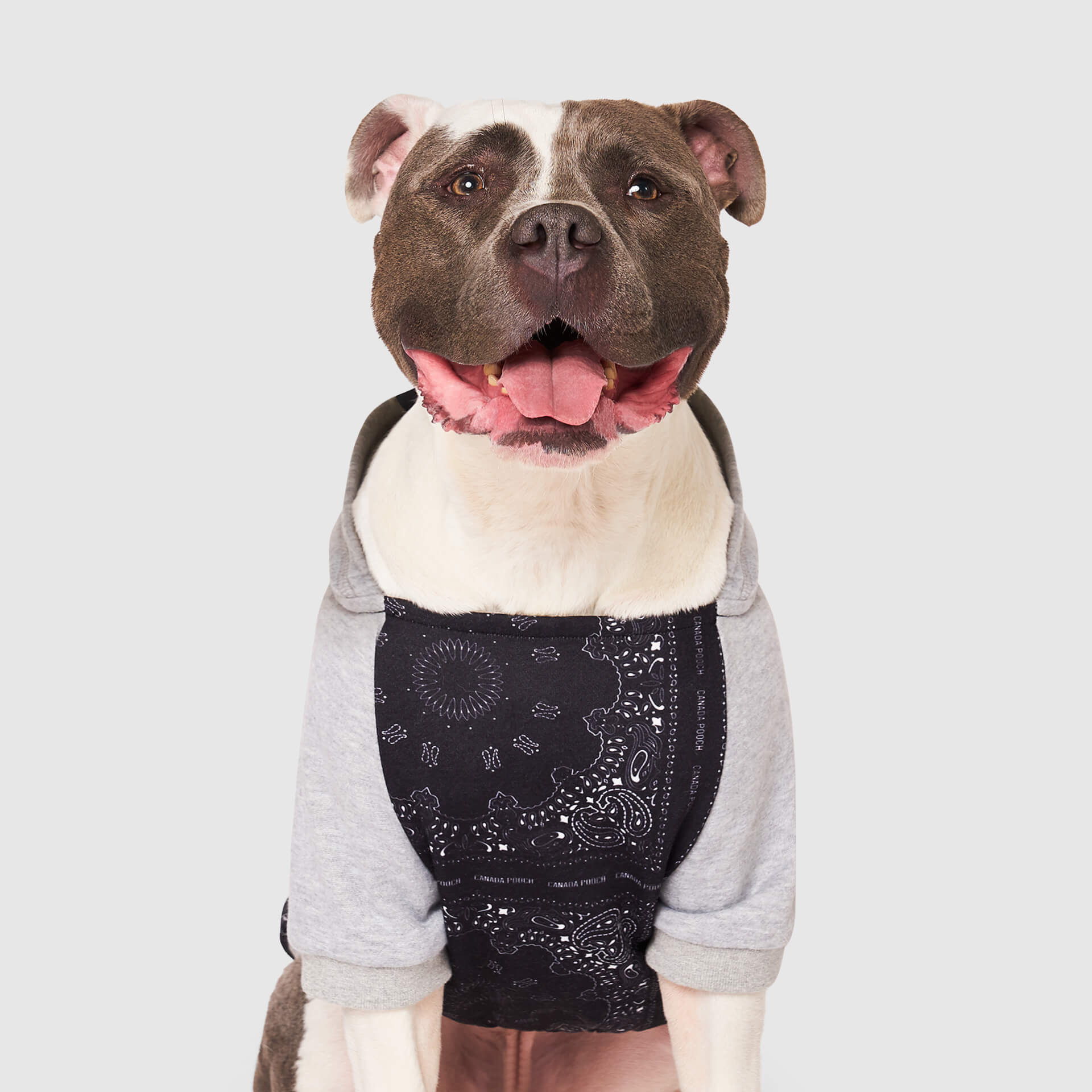 Whatever The Weather Hoodie - Image 7
