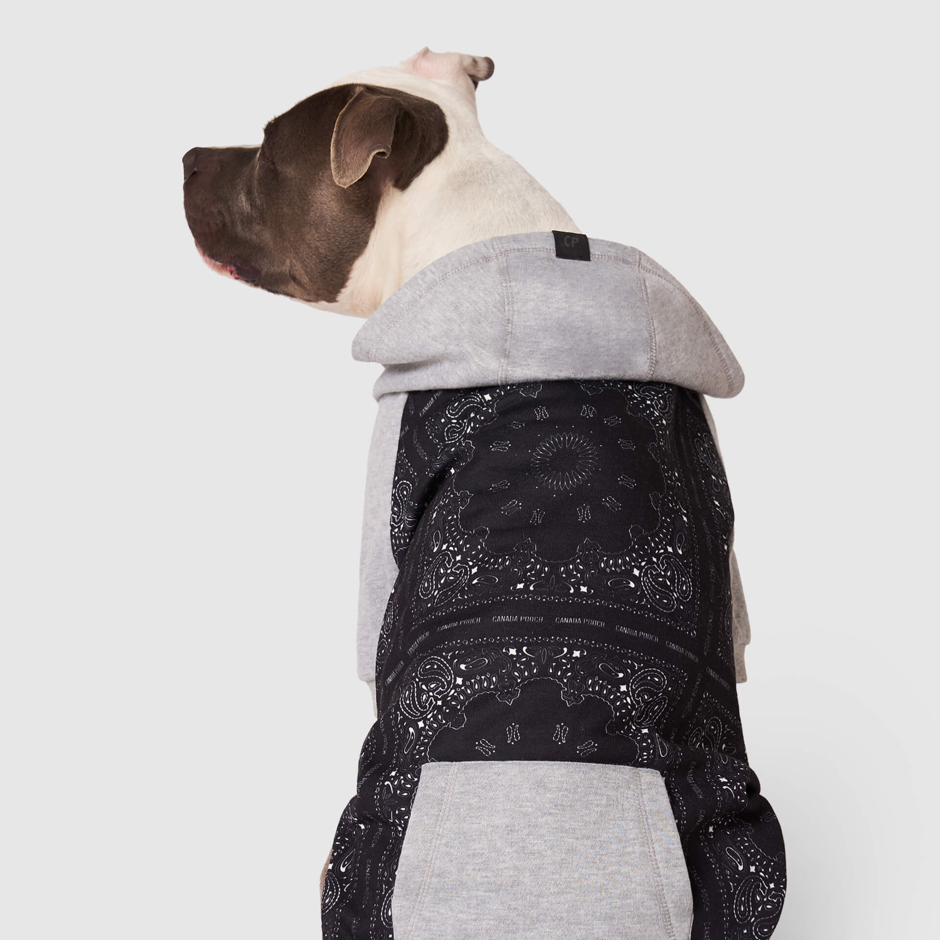 Whatever The Weather Hoodie - Image 8