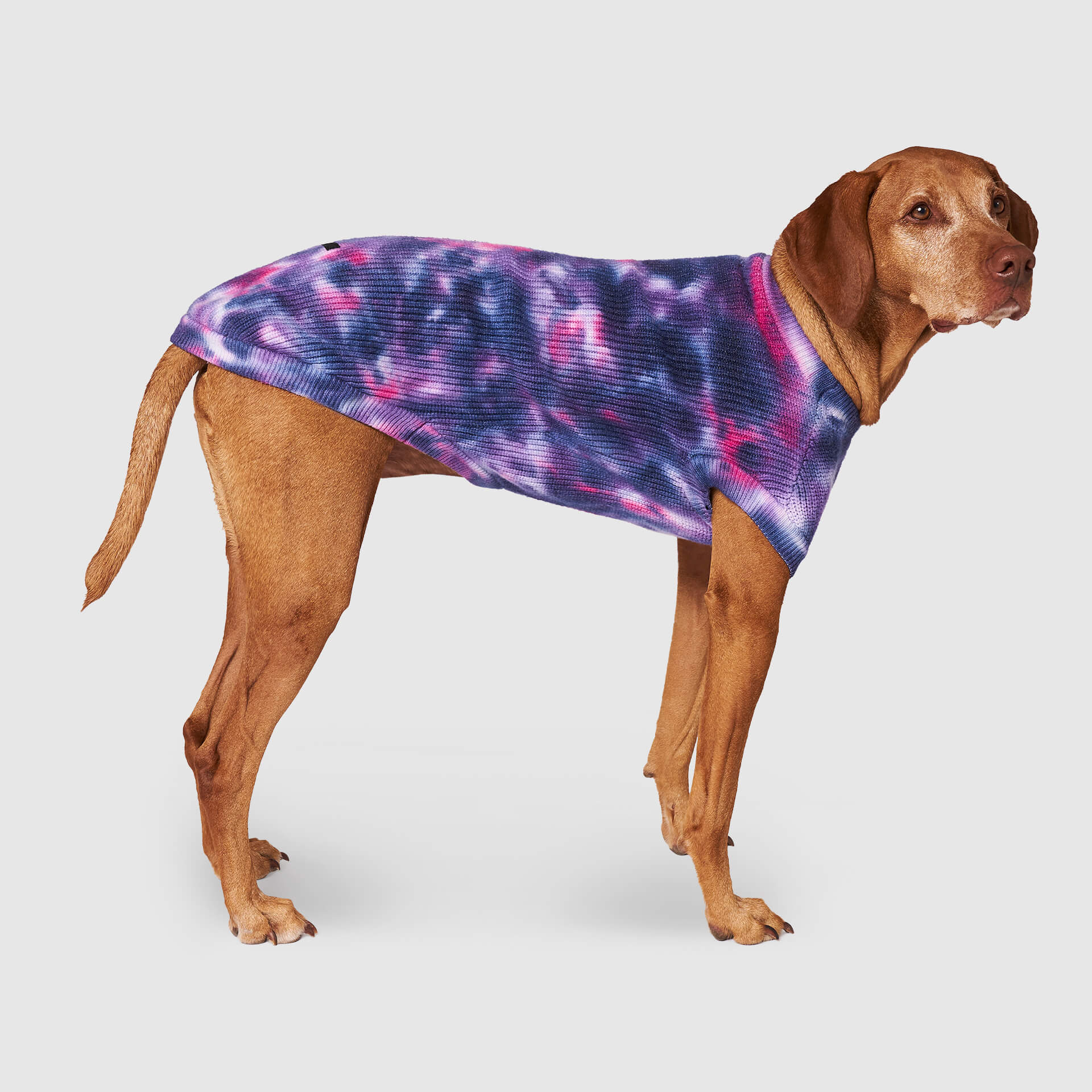 Wild Side Sweater - Image 3